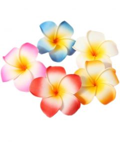 Aloha Flower haarclip