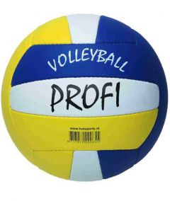 HOT Smash Profi volleybal